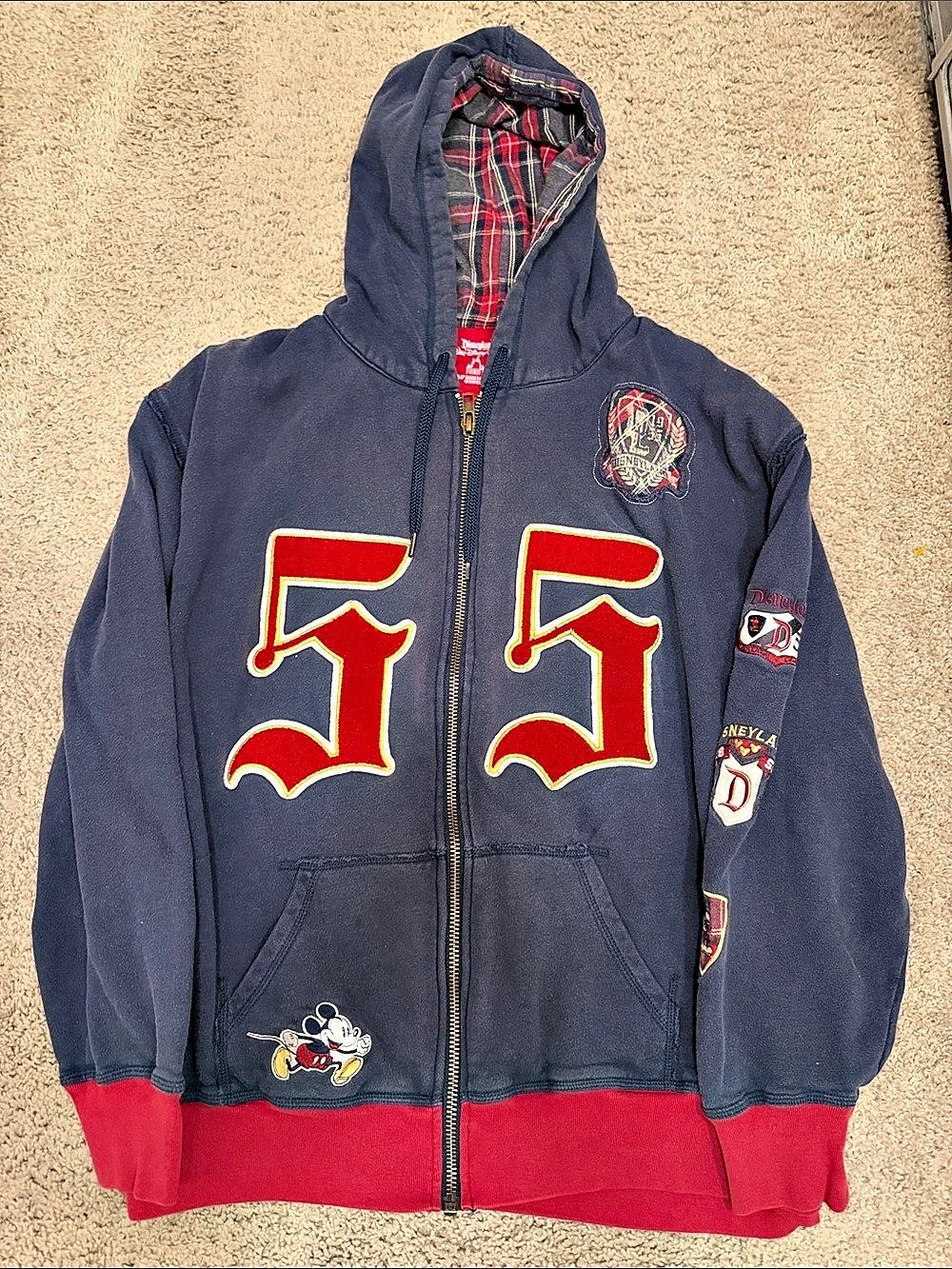 Disney Disneyland 1955 hoodie Graphic Zip Blue & Red